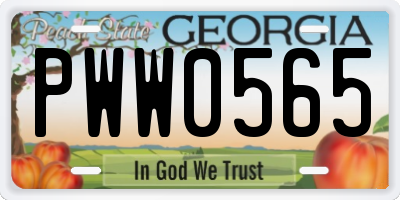 GA license plate PWW0565