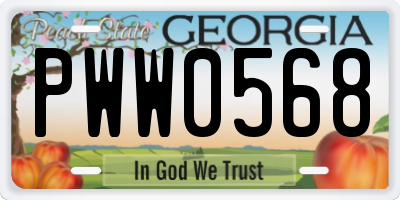 GA license plate PWW0568
