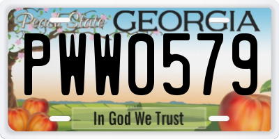 GA license plate PWW0579