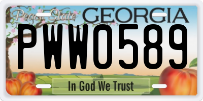 GA license plate PWW0589