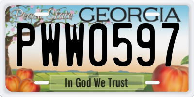 GA license plate PWW0597