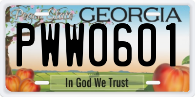 GA license plate PWW0601