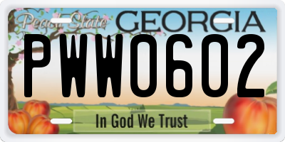 GA license plate PWW0602