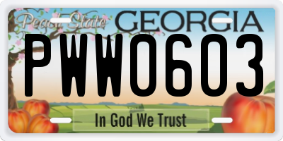 GA license plate PWW0603