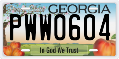 GA license plate PWW0604