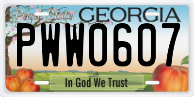 GA license plate PWW0607