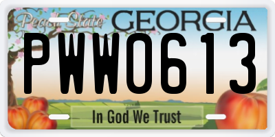 GA license plate PWW0613