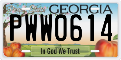 GA license plate PWW0614