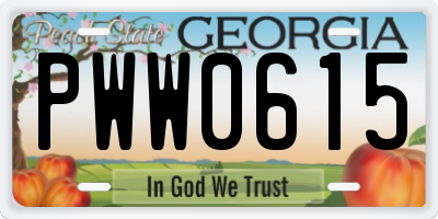 GA license plate PWW0615