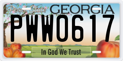 GA license plate PWW0617