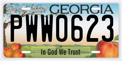 GA license plate PWW0623