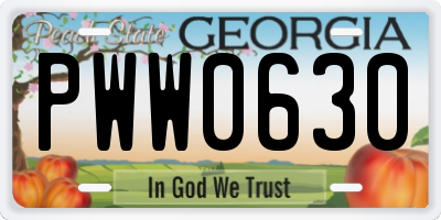 GA license plate PWW0630