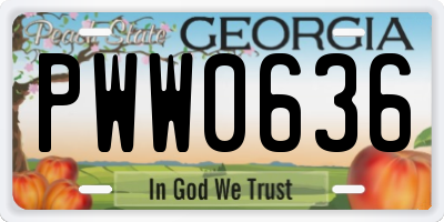 GA license plate PWW0636