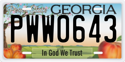 GA license plate PWW0643
