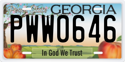 GA license plate PWW0646