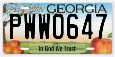 GA license plate PWW0647