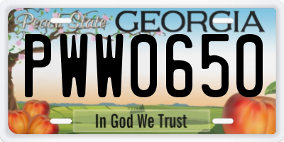 GA license plate PWW0650