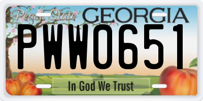 GA license plate PWW0651