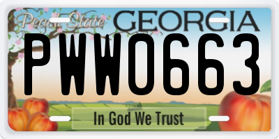 GA license plate PWW0663