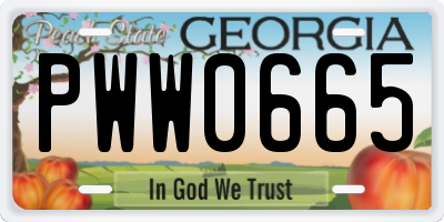 GA license plate PWW0665
