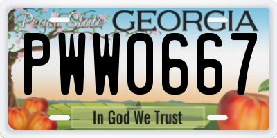 GA license plate PWW0667