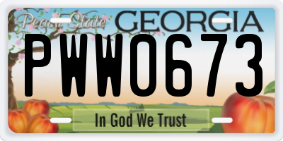 GA license plate PWW0673