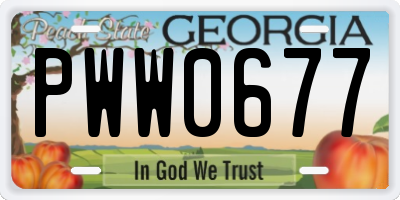 GA license plate PWW0677