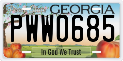 GA license plate PWW0685