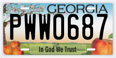 GA license plate PWW0687