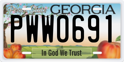 GA license plate PWW0691