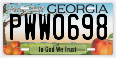GA license plate PWW0698