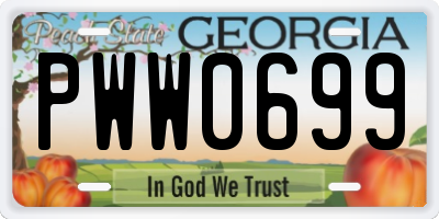 GA license plate PWW0699