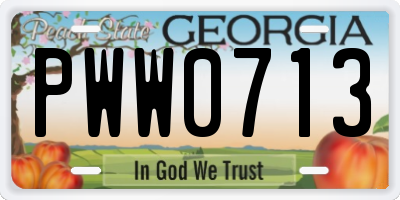 GA license plate PWW0713
