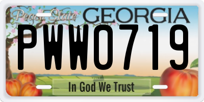 GA license plate PWW0719