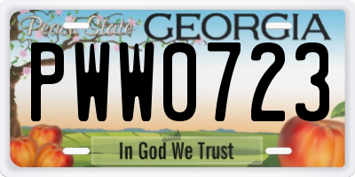 GA license plate PWW0723