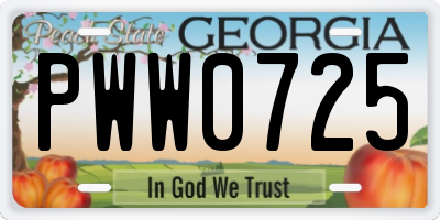 GA license plate PWW0725