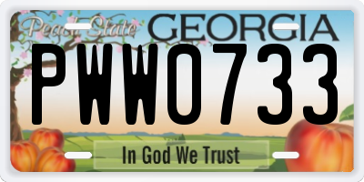 GA license plate PWW0733