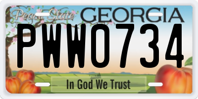 GA license plate PWW0734