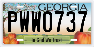 GA license plate PWW0737