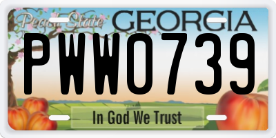 GA license plate PWW0739