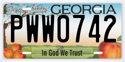 GA license plate PWW0742