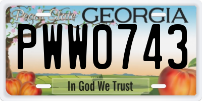 GA license plate PWW0743