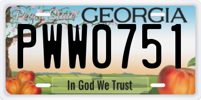 GA license plate PWW0751
