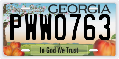 GA license plate PWW0763