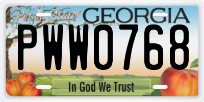 GA license plate PWW0768
