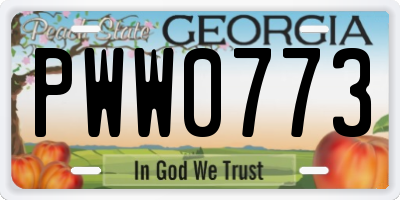 GA license plate PWW0773