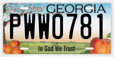 GA license plate PWW0781