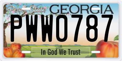 GA license plate PWW0787