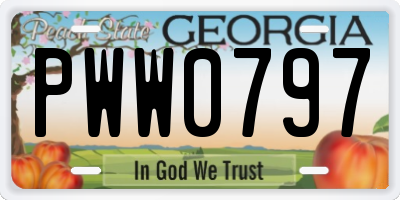 GA license plate PWW0797