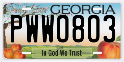 GA license plate PWW0803